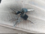 Miniaturka zdjęcia 11