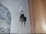Miniaturka zdjęcia 11