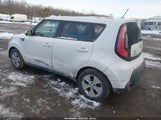 Miniaturka zdjęcia 3