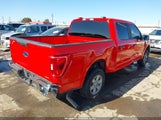 Ford F-150 Xlt 1FTEW1C81PKD34256 снимка
