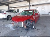 Miniaturka zdjęcia 6