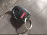 Miniaturka zdjęcia 11