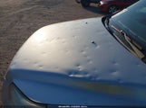 Miniaturka zdjęcia 6