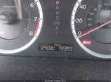 Miniaturka zdjęcia 7