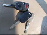 Miniaturka zdjęcia 11
