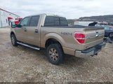 Ford F-150 Xlt 1FTFW1ET8DFC94736 снимка