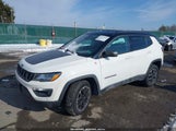 Jeep Compass Trailhawk 4X4 3C4NJDDBXLT195747 снимка
