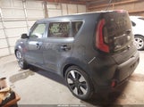 Miniaturka zdjęcia 3