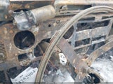 Jeep Wrangler / Yj S 1J4FY19P6PP213037 photo