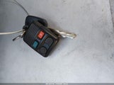 Miniaturka zdjęcia 11