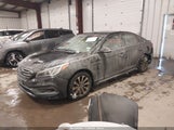 Miniaturka zdjęcia 2