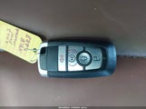 Miniaturka zdjęcia 11