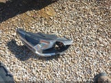 Kia Rio S 3KPA24AD9NE447934 снимка