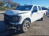 Ford F-150 Xl 1FTEW1LP0SKD59987 fotografie