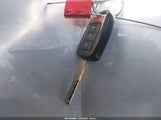 Miniaturka zdjęcia 11