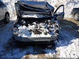 Miniaturka zdjęcia 6