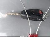 Miniaturka zdjęcia 11