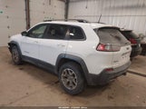 Jeep Cherokee Trailhawk 4X4 1C4PJMBX0LD532729 снимка