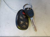 Miniaturka zdjęcia 11
