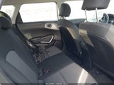 Miniaturka zdjęcia 8