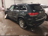 Jeep Grand Cherokee Laredo 1C4RJFAG0EC565812 снимка