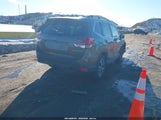 Miniaturka zdjęcia 4