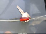 Miniaturka zdjęcia 11