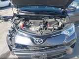 Toyota Rav4 Le JTMZFREV3GJ092059 снимка