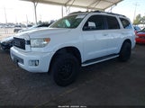 Toyota Sequoia Limited 5.7L V8 5TDJY5G14DS087848 fotografie
