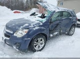 Chevrolet Equinox Ls 2GNFLEEK8E6335649 снимка