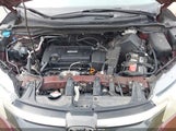 Honda Cr-V Ex 2HKRM4H50GH652634 снимка