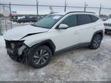 Hyundai Tucson Hybrid Blue KM8JBCA17NU010995 fotografie