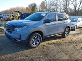 Honda Passport Awd Trailsport 5FNYF8H6XPB026111 photo