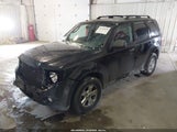 Ford Escape Xlt 1FMCU9DG2BKA54769 fotografie