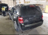 Ford Escape Xlt 1FMCU9DG2BKA54769 fotografie
