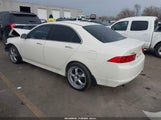 Acura Tsx JH4CL96817C009920 снимка