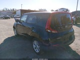 Miniaturka zdjęcia 3