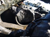 Kia Sorento Lx 5XYKT3A65CG259103 снимка