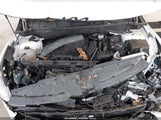 Miniaturka zdjęcia 10