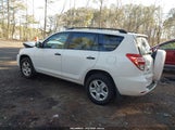 Toyota Rav4 JTMZF4DV3AD021194 fotografie