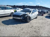 Miniaturka zdjęcia 2