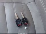 Miniaturka zdjęcia 11