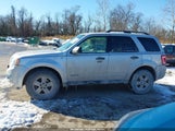 Ford Escape Xlt 1FMCU93118KA91124 снимка