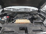 Ford F-150 Xlt 1FTEW1EP9HFA44751 снимка