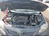 Toyota Corolla S 2T1BU4EE3AC469020 снимка