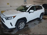 Toyota Rav4 Xle JTMP1RFV6LD064852 снимка