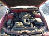 Ford Mustang Gt Deluxe/Gt Premium 1ZVHT85H875275973 снимка