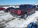 Ford F-150 Fx4/Harley-Davidson/King Ranch/Lariat/Platinum/Xl/Xlt 1FTFW1EV7AFD15332 снимка