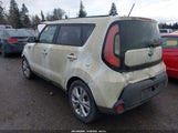 Miniaturka zdjęcia 3