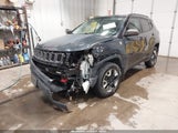 Jeep Compass Trailhawk 4X4 3C4NJDDB5JT262722 снимка